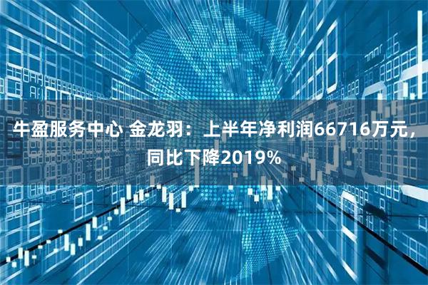 牛盈服务中心 金龙羽：上半年净利润66716万元，同比下降2019%